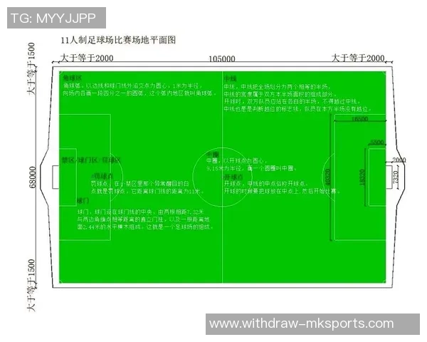 小型足球场标准尺寸解析与设计要点详解助力青少年足球发展